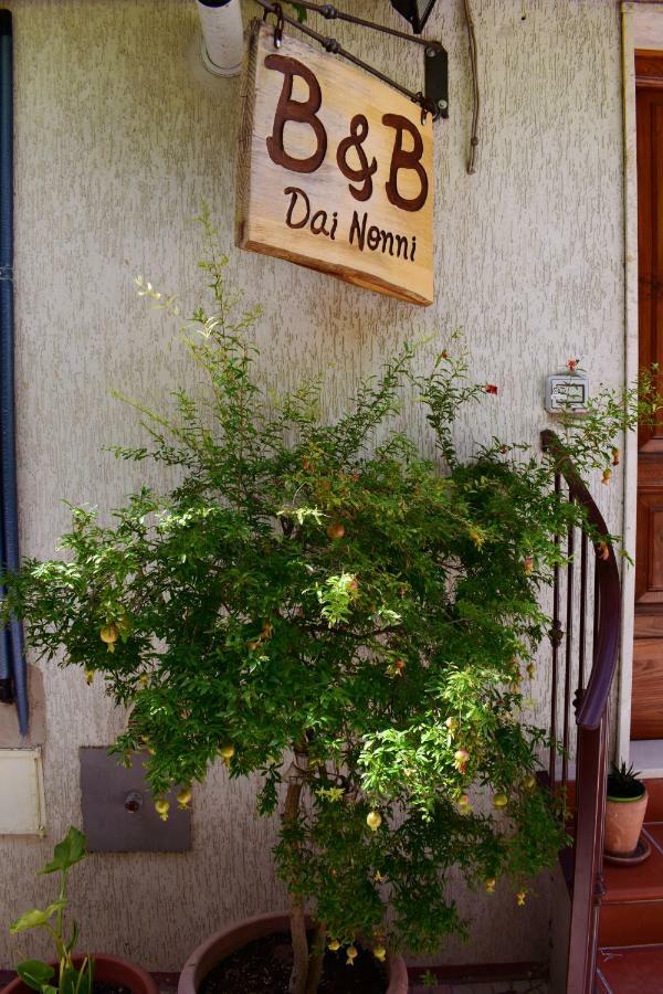 Dai Nonni, B&B A Chieti Buitenkant foto